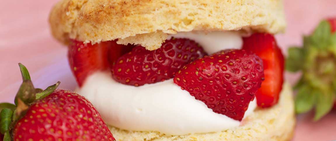 Hero - Full Width/performancefoodservice-Recipes-SHORTCAKE-heroFull