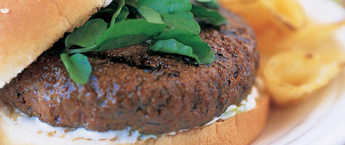 Hero - Full Width/performancefoodservice-Recipes-FIRECRACKER_BURGER-heroFull