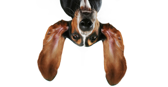 Binaural Benefit