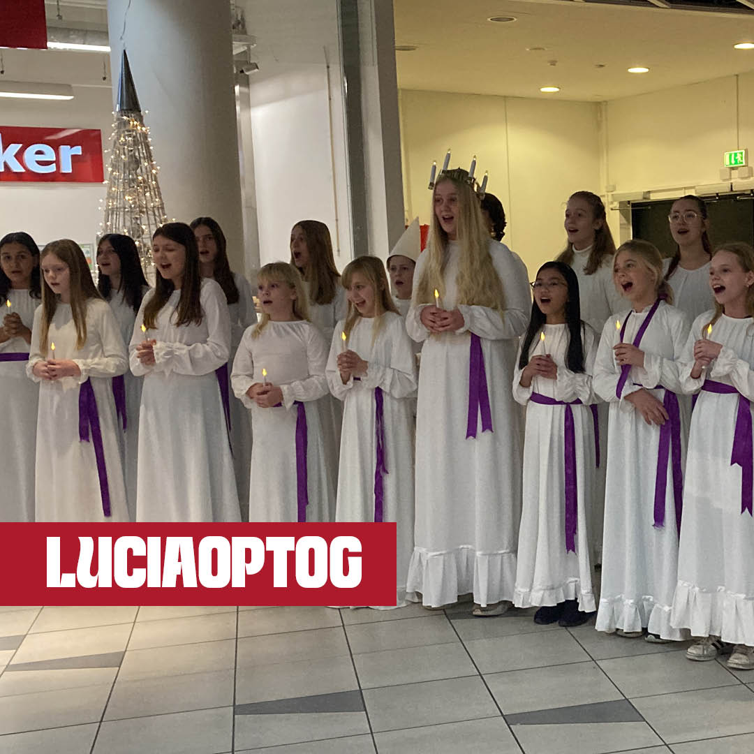 Lucia-listicle.jpg