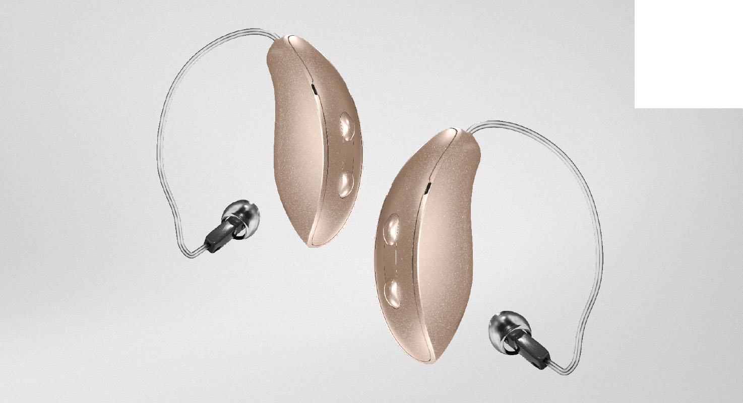 G Series RIC 312 Hearing aids