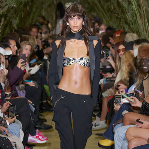 News/bloc_com_mayol_tendance_3